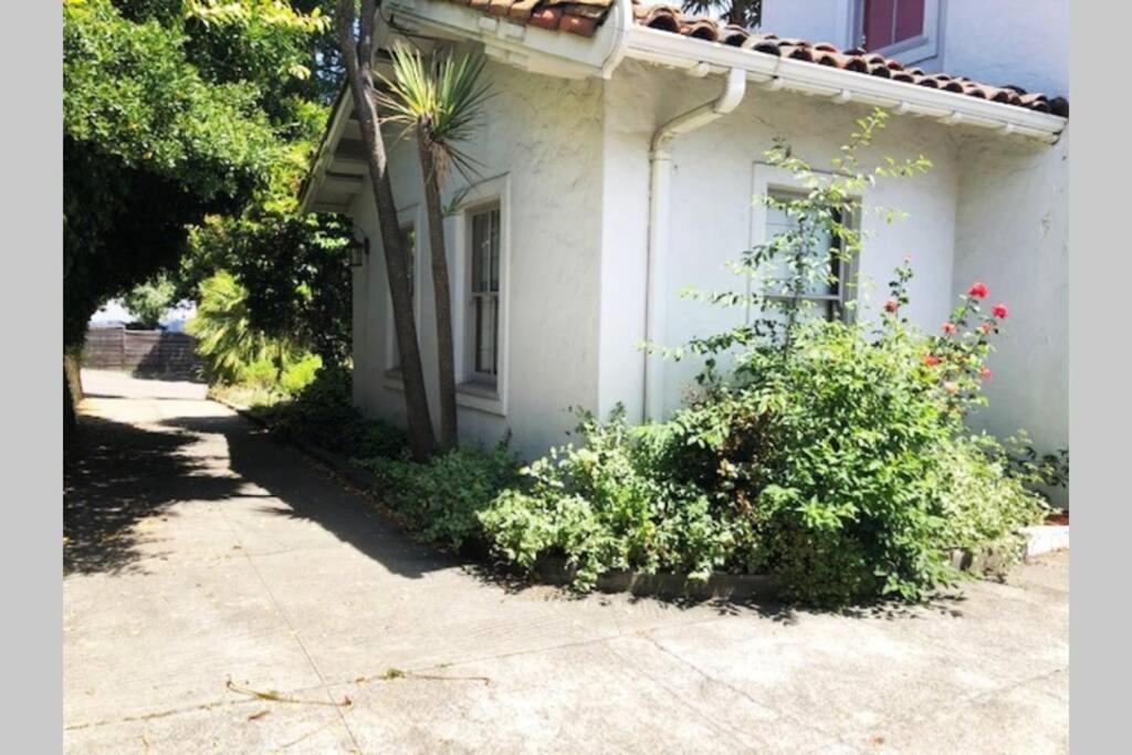 Elegant Spacious Private Studio ~ Upscale Berkeley Exterior photo